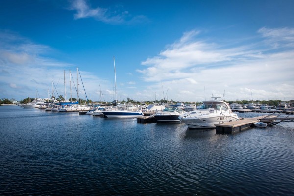 Marina - Cayman Islands Yacht Club - DSC_3070