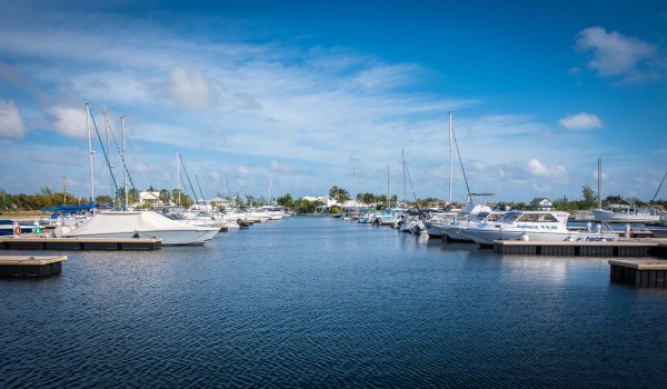 Marina - Cayman Islands Yacht Club - DSC_3075