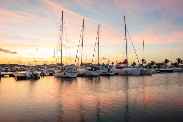 Marina - Cayman Islands Yacht Club - DSC_3655